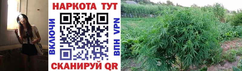 Продажа наркотиков Дегтярск ГЕРОИН  Меф  Конопля  Cocaine  kraken ТОР  A PVP 