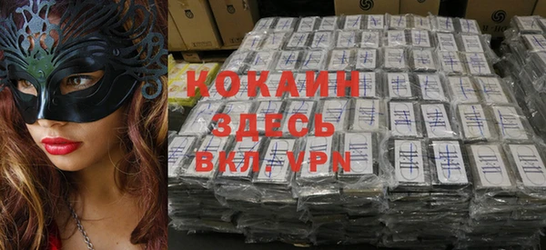 МДПВ Алзамай